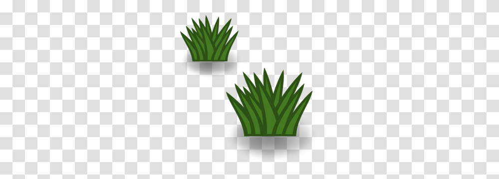 Grass Clip Arts For Web, Plant, Vegetation, Flower, Blossom Transparent Png