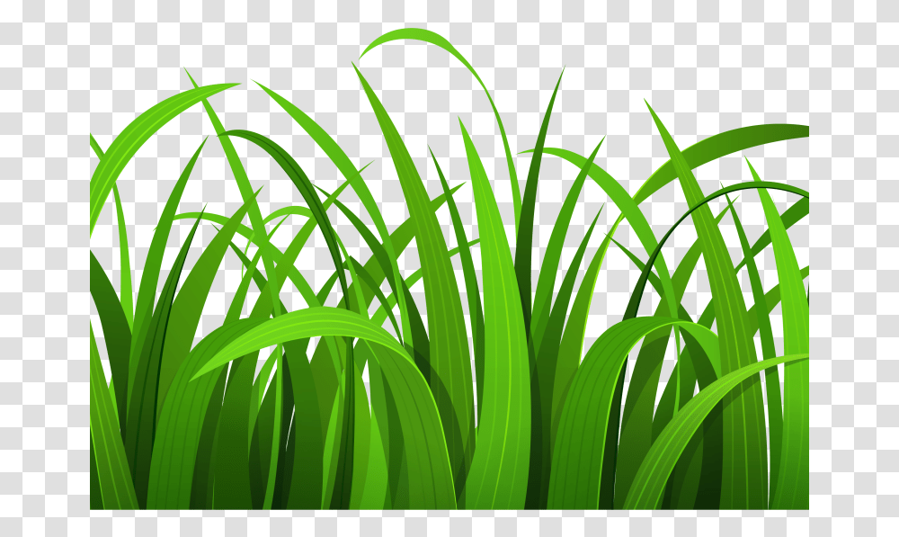 Grass Clipart Background, Plant, Lawn Transparent Png