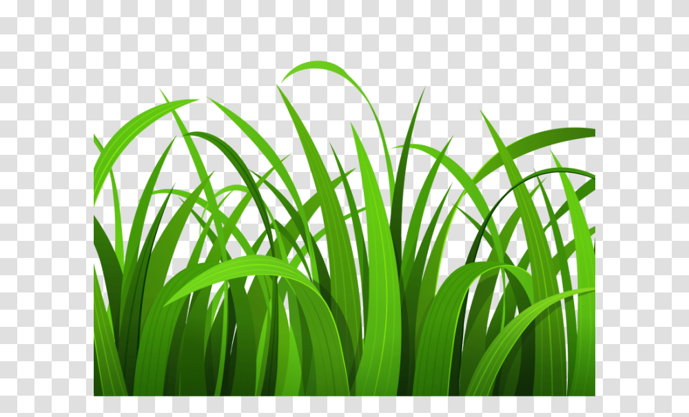 Grass Clipart Black And White Outline Archives, Plant, Green, Lawn Transparent Png