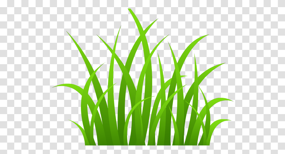 Grass Clipart Black And White, Plant, Lawn, Agropyron Transparent Png