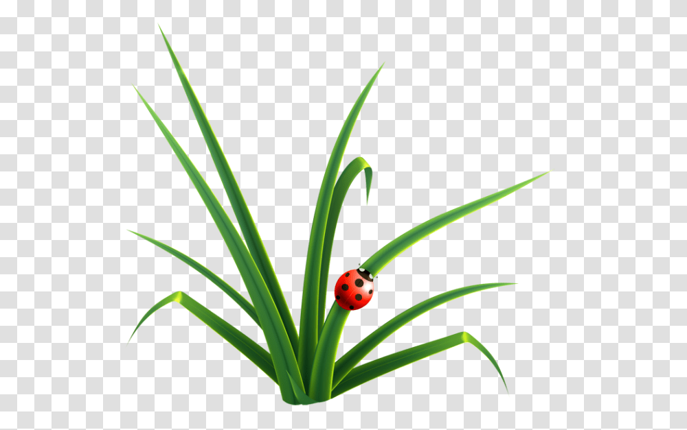 Grass Clipart Blades Grass, Green, Plant, Bird Transparent Png