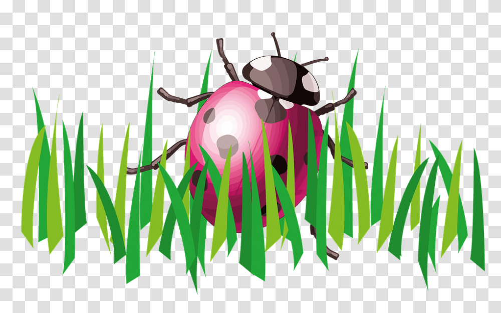 Grass Clipart Cartoon, Plant, Insect, Invertebrate, Animal Transparent Png