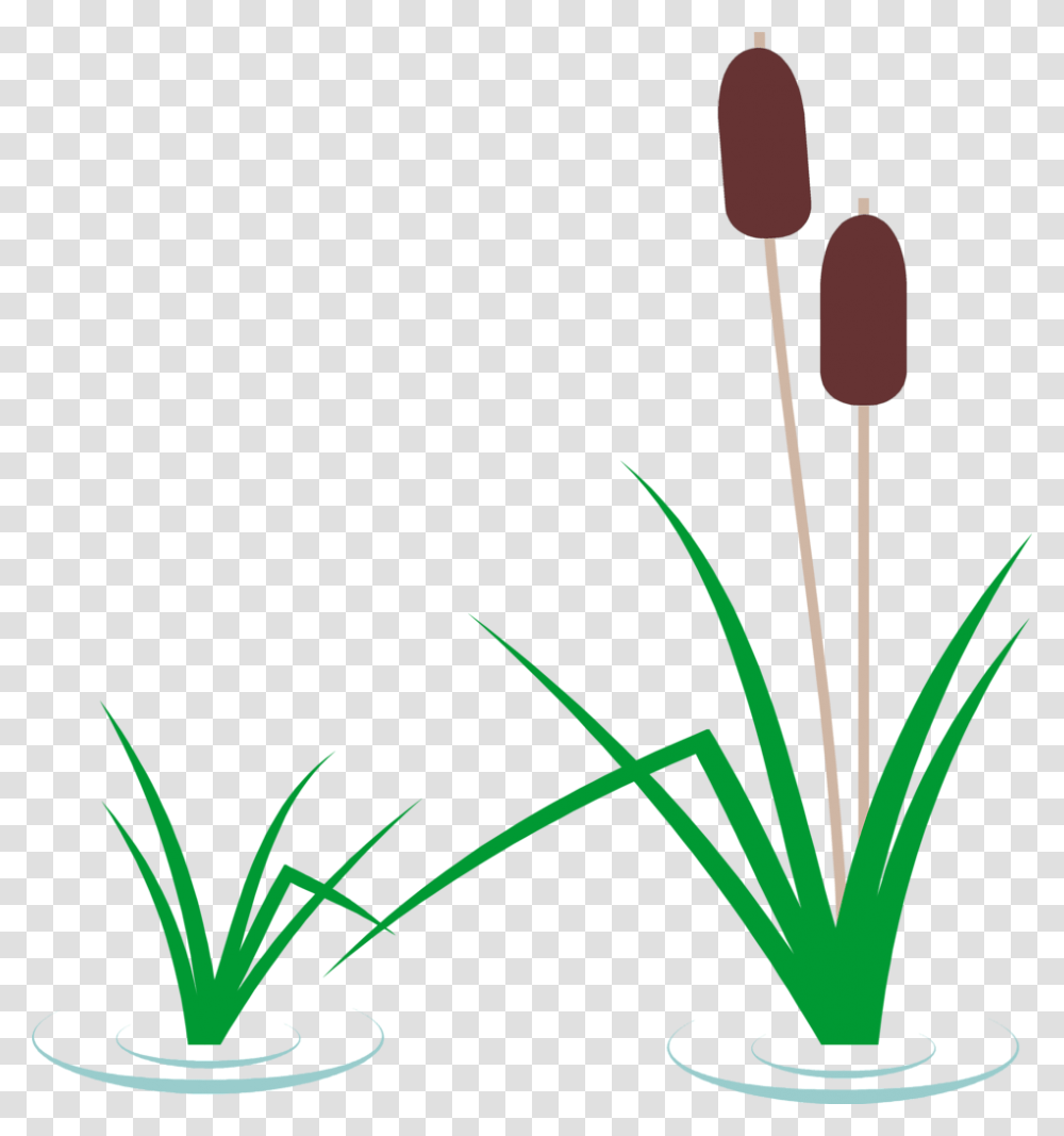 Grass Clipart Cattail, Plant, Flower, Jar, Vase Transparent Png