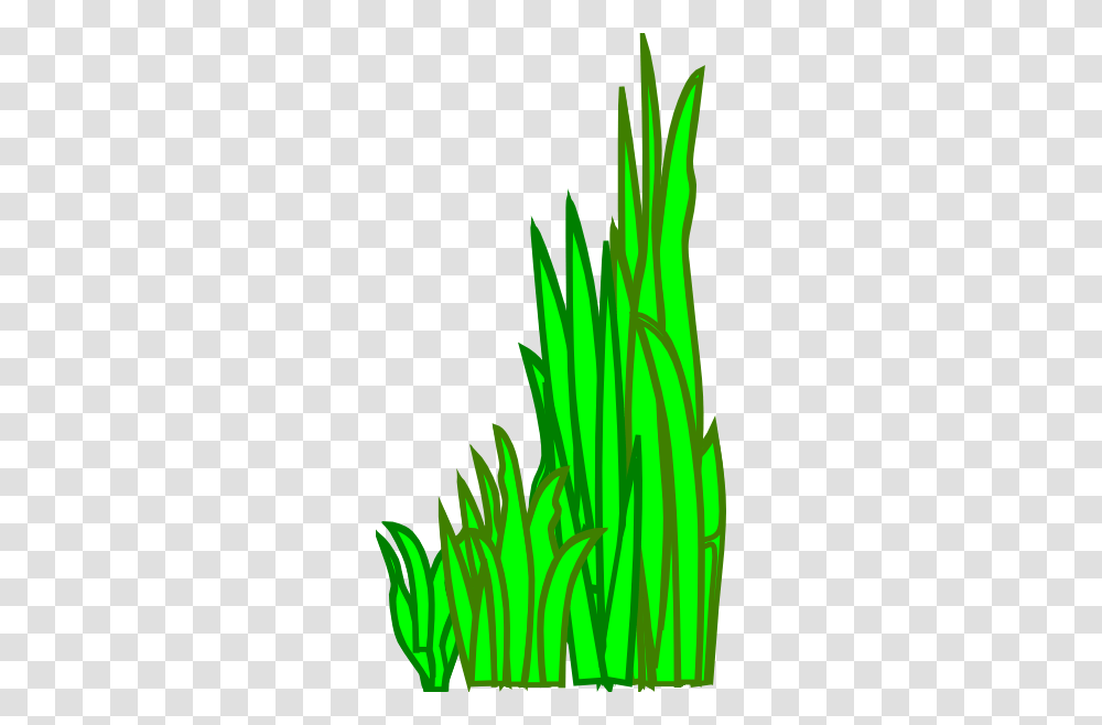 Grass Clipart For Web, Plant, Leaf, Vegetation, Tree Transparent Png