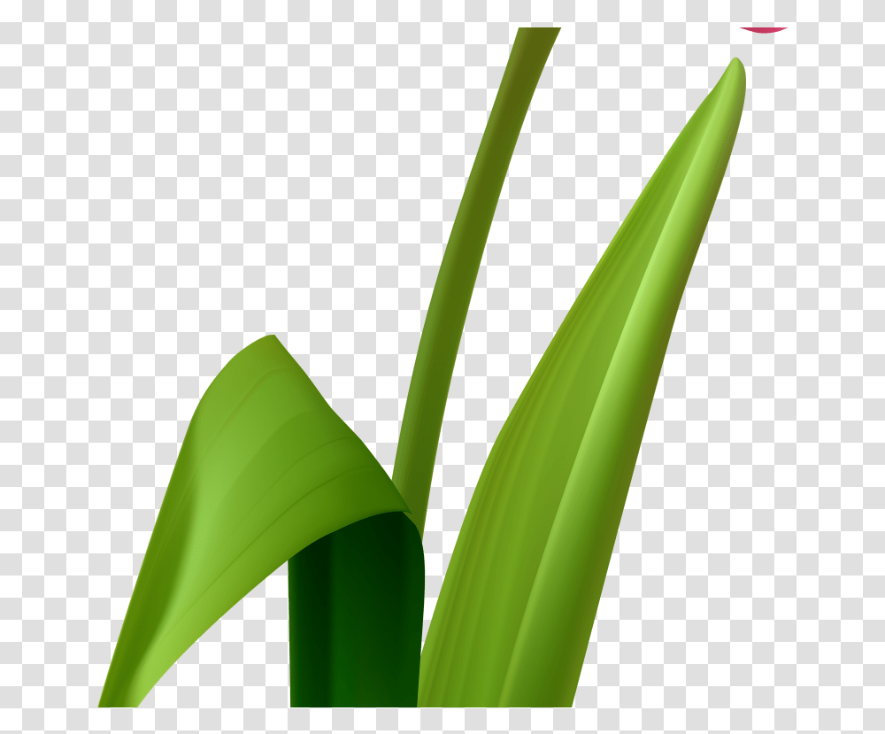 Grass Clipart Grass, Plant, Produce, Food, Flower Transparent Png