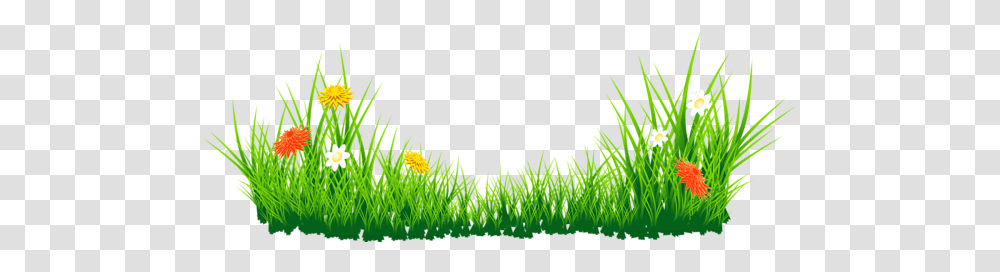 Grass Clipart, Green, Plant, Moss, Lawn Transparent Png
