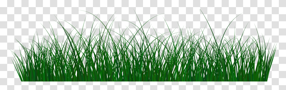 Grass Clipart Green Sweet Grass Transparent Png