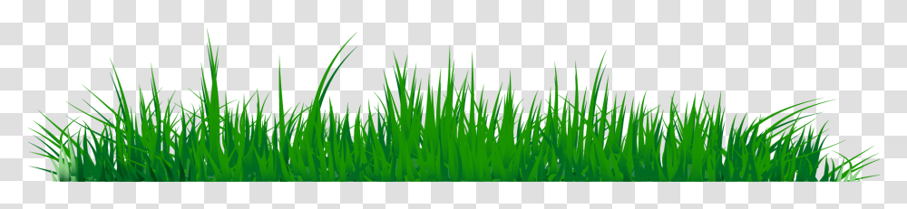 Grass Clipart Image 07 Sweet Grass, Plant, Lawn Transparent Png