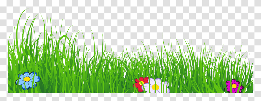 Grass Clipart No Background, Plant, Outdoors, Nature, Green Transparent Png