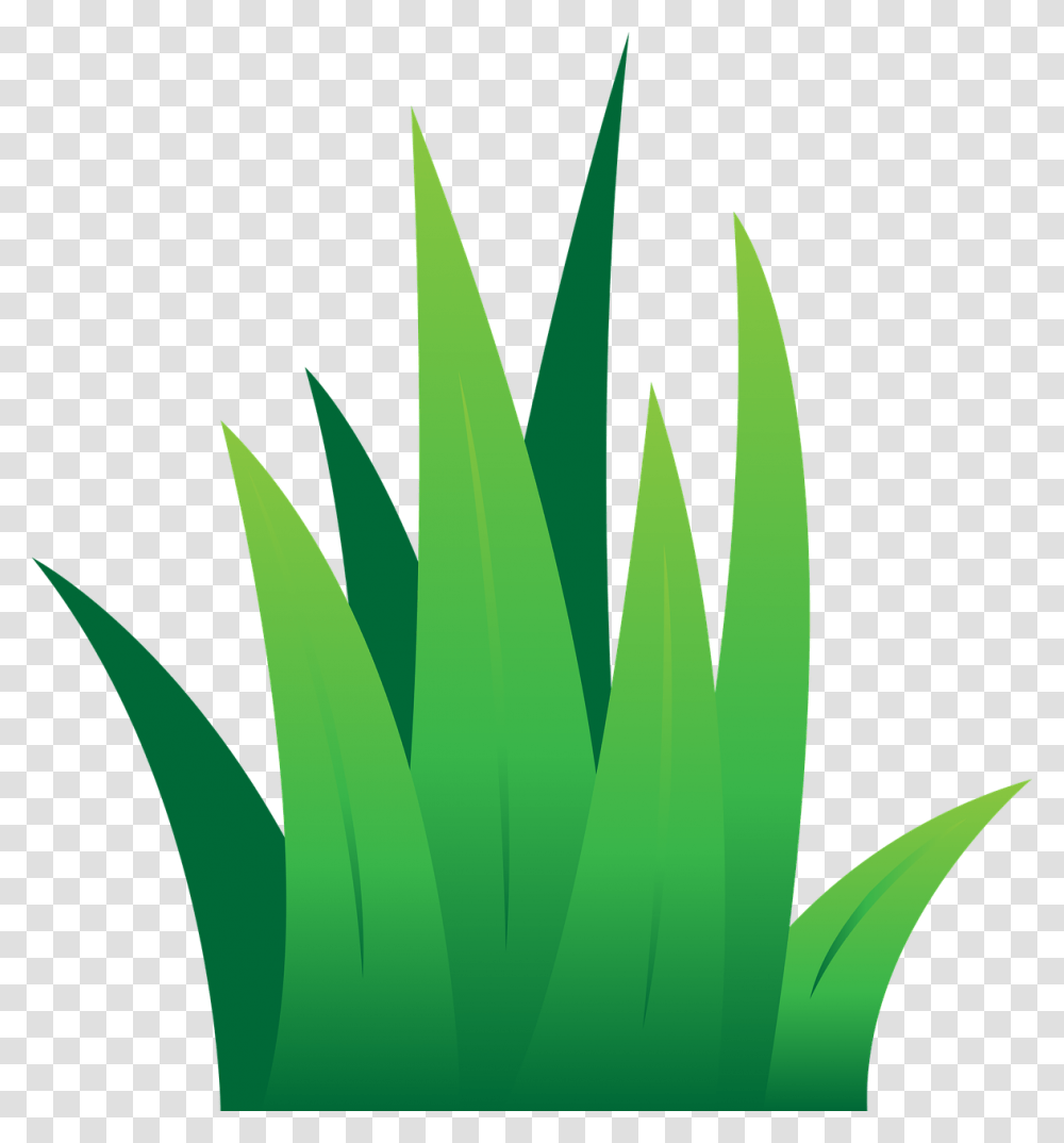 Grass Clipart, Plant, Aloe, Leaf Transparent Png