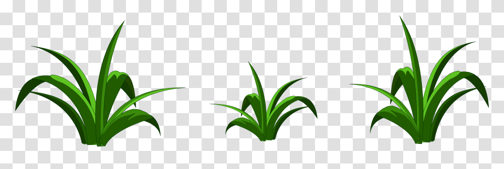 Grass Clipart, Plant, Green, Flower, Sprout Transparent Png