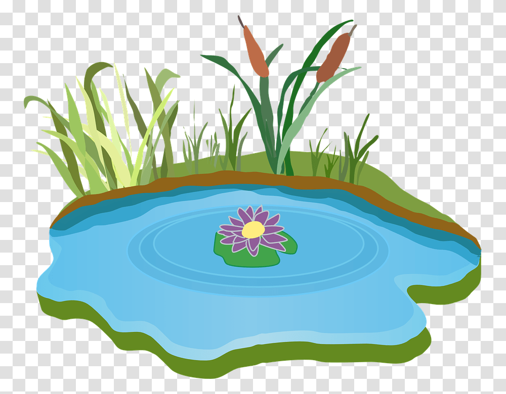 Grass Clipart Pond, Nature, Outdoors, Vegetation, Plant Transparent Png