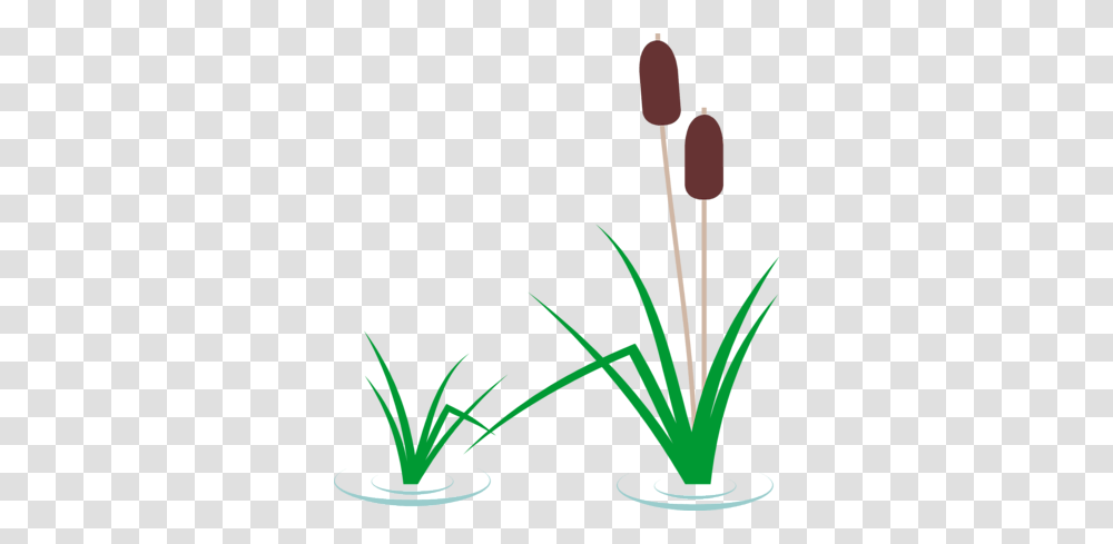 Grass Clipart Pond, Plant, Flower, Flax, Food Transparent Png