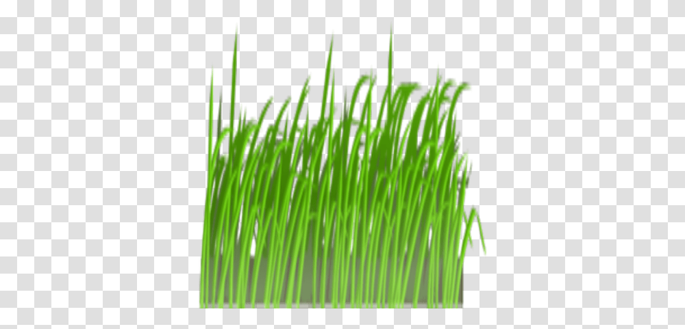 Grass Clipart Roblox Grass Clip Art, Plant, Lawn, Reed, Moss Transparent Png