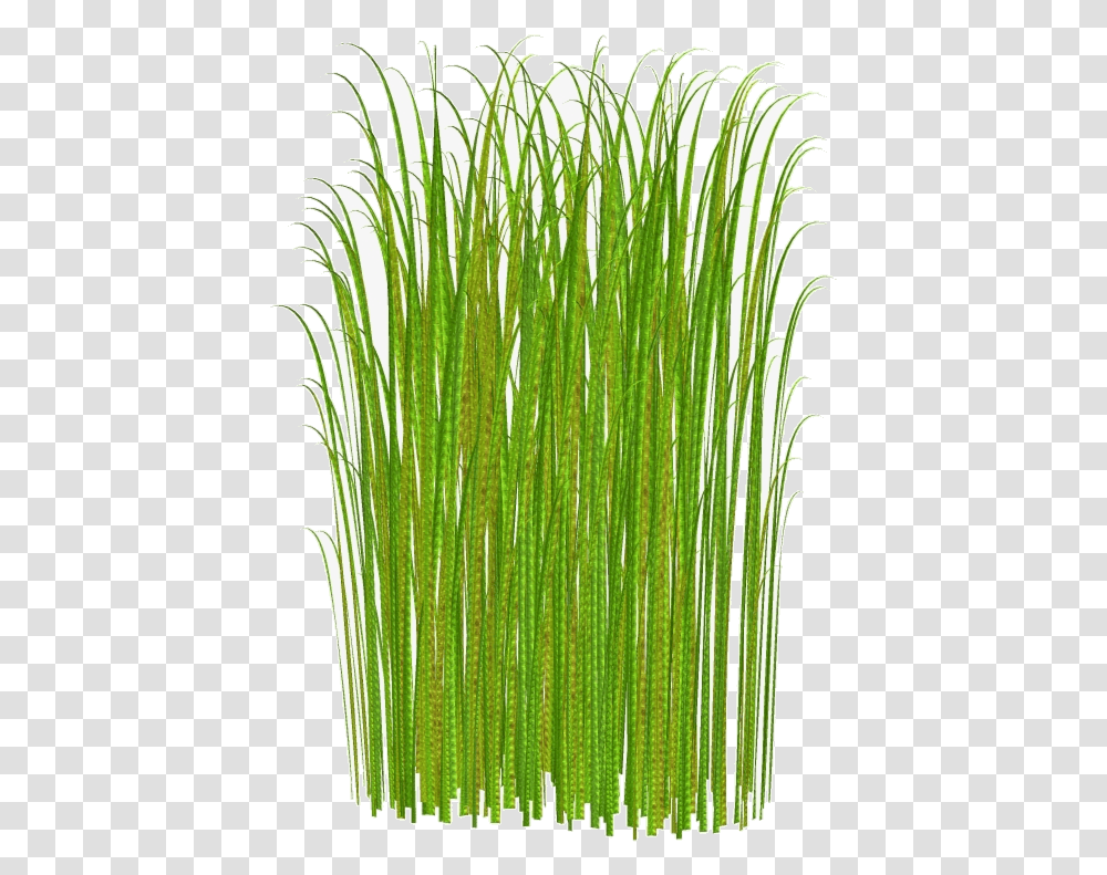 Grass Clipart Tall No Background Free Grass Clipart, Plant, Vegetation, Lawn, Agropyron Transparent Png
