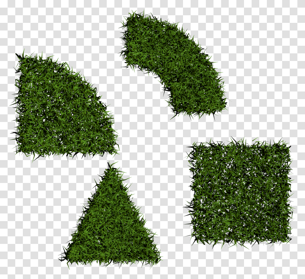 Grass Clipartly Comclipartly Com, Vegetation, Plant, Moss, Bush Transparent Png