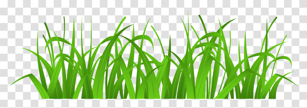 Grass Cover Clip Art Clipart Grass, Plant, Green, Insect, Invertebrate Transparent Png
