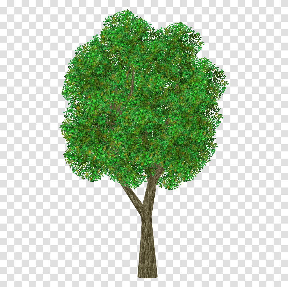 Grass Download Apple Tree, Bush, Vegetation, Plant, Maple Transparent Png