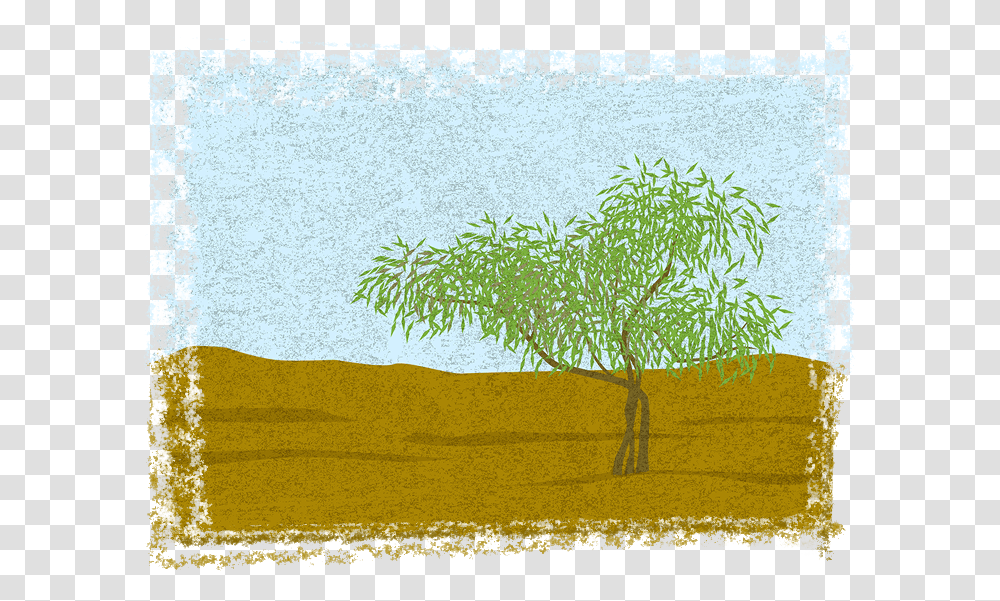 Grass Drawing Grass, Tree, Plant, Soil, Outdoors Transparent Png