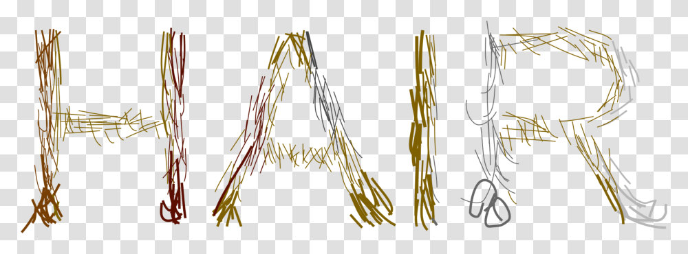 Grass Familytwigangle Plot Transparent Png