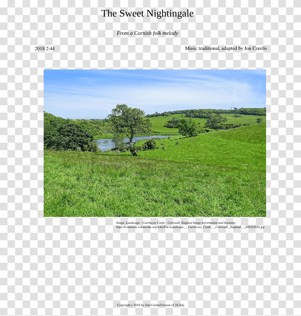 Grass, Field, Nature, Grassland, Outdoors Transparent Png