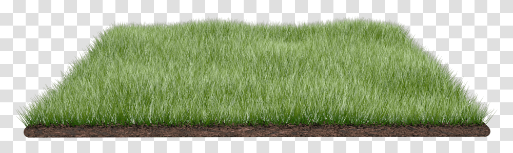 Grass Field Number Paddy Field, Plant, Lawn, Sport, Sports Transparent Png