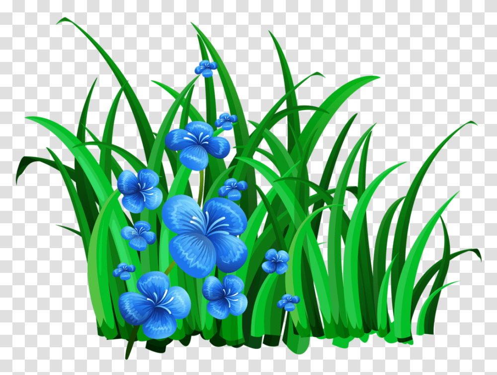 Grass Flower Art Flower Clipart, Plant, Iris, Flax, Photography Transparent Png