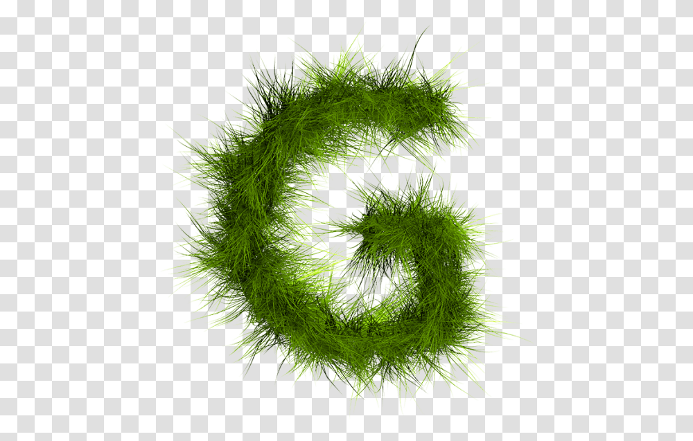 Grass Font, Moss, Plant, Green, Pattern Transparent Png