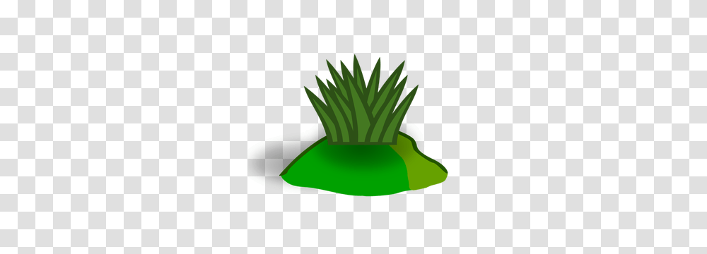 Grass Free Clipart, Plant, Food, Vegetable, Green Transparent Png