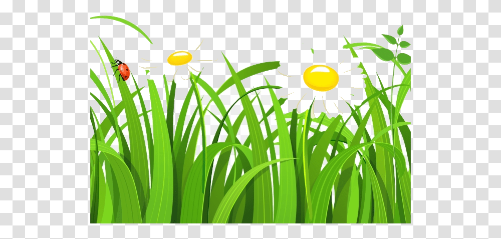 Grass Free Clipart Vector Grass Clipart, Plant, Flower, Daffodil Transparent Png