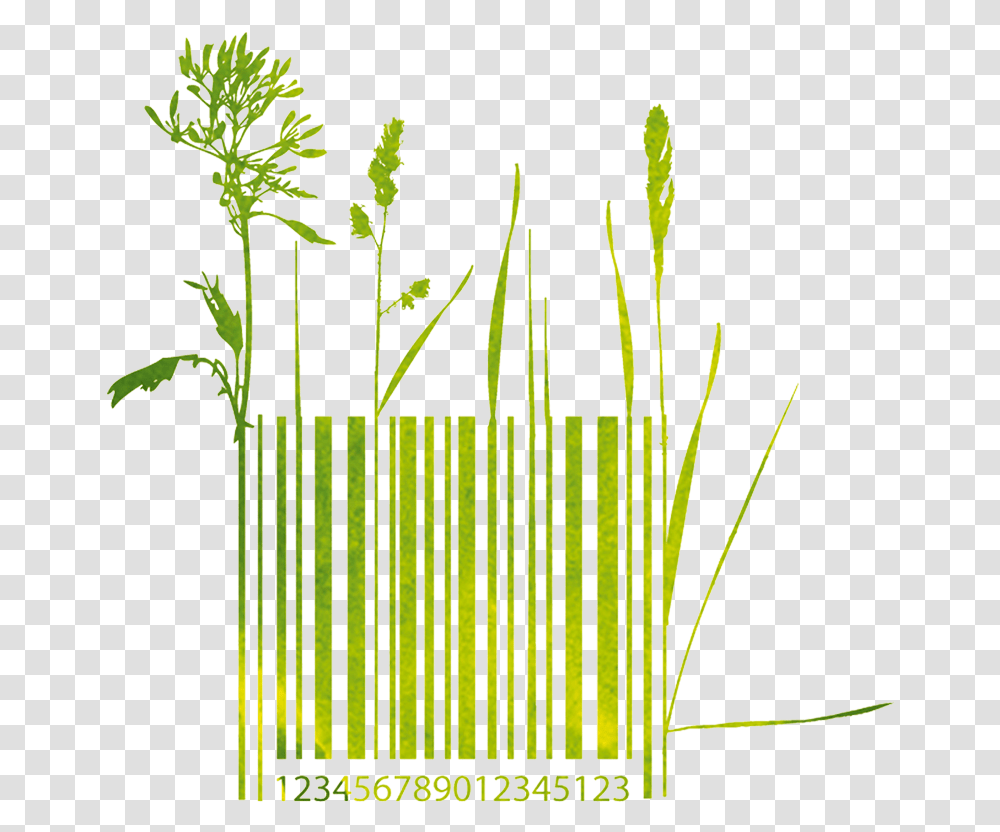 Grass, Gate, Incense, Plant Transparent Png