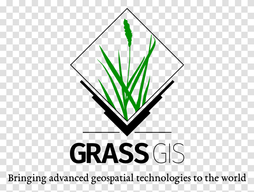 Grass Gis Logo, Green, Pineapple, Fruit, Plant Transparent Png
