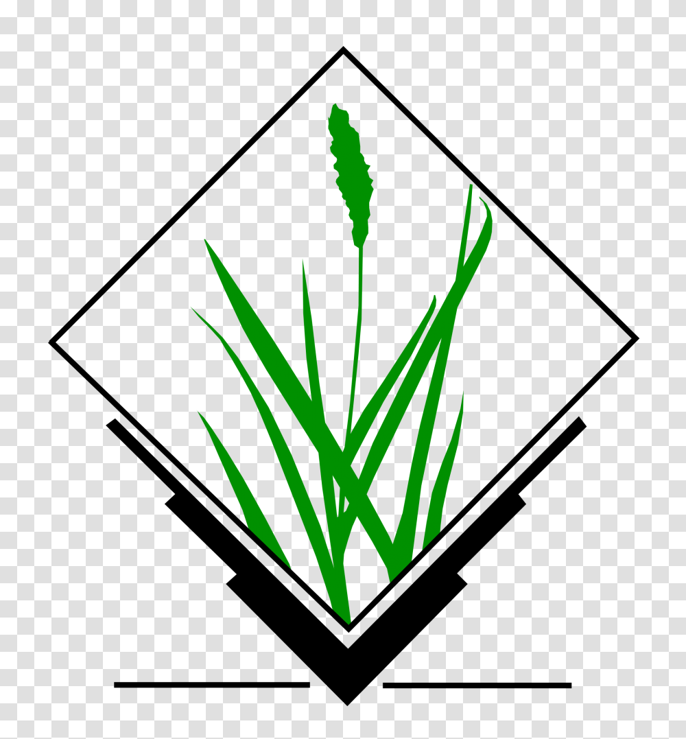 Grass Gis, Logo, Trademark, Plant Transparent Png
