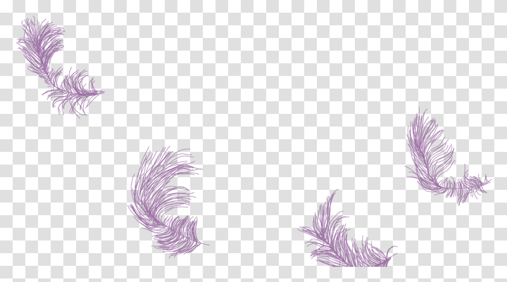 Grass, Plant, Bird Transparent Png