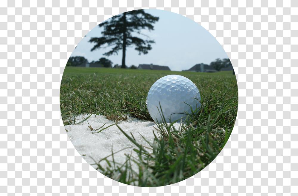 Grass Grass, Ball, Golf Ball, Sport, Sports Transparent Png