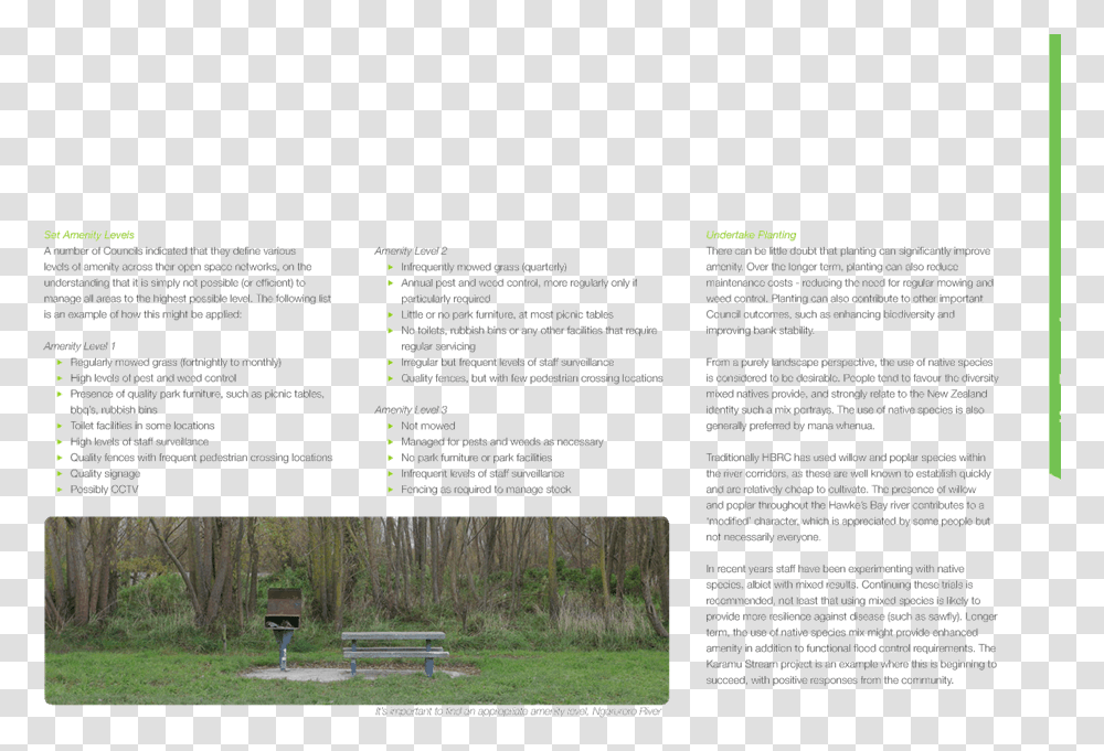 Grass Grass, Bench, Furniture, Advertisement, Poster Transparent Png