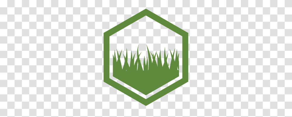 Grass Green Africa Lawn Instant Lawn, Vegetation, Plant, Nature, Outdoors Transparent Png