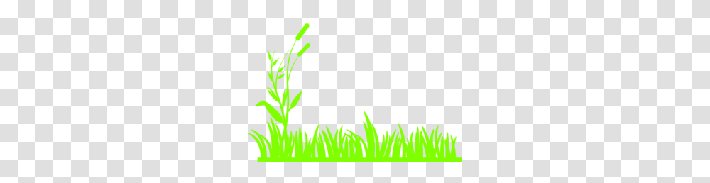 Grass Green Clip Art, Plant, Leaf Transparent Png