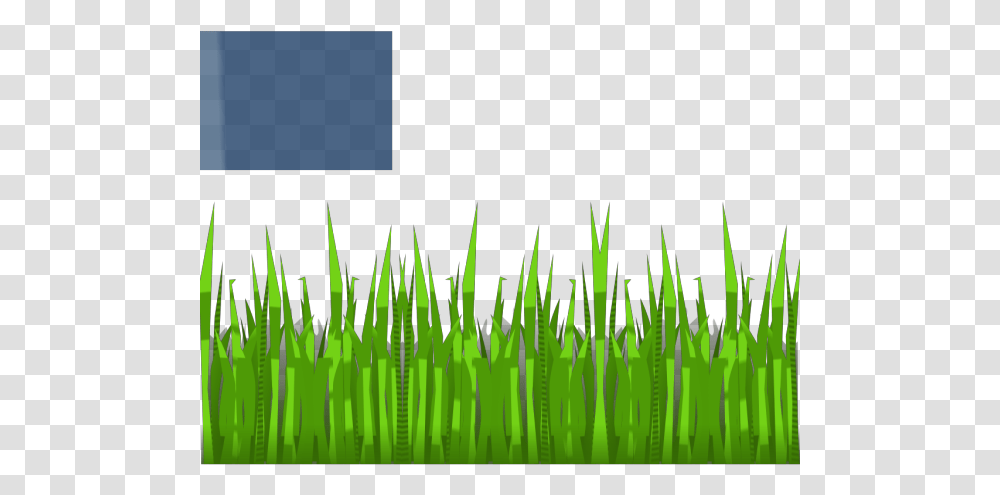 Grass, Green, Plant, Vegetation, Beverage Transparent Png