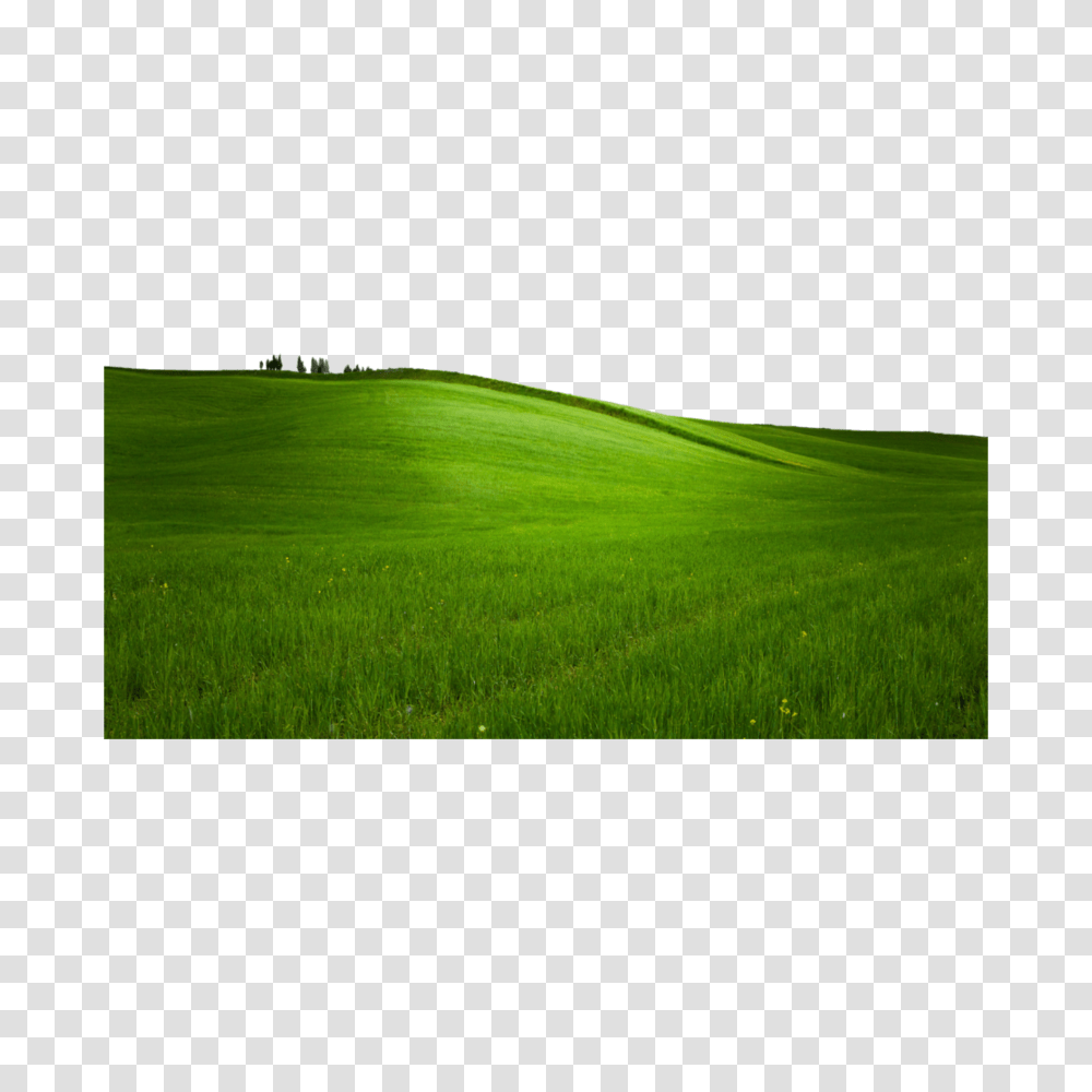 Grass Hills Scenery Nature, Plant, Field, Lawn, Outdoors Transparent Png