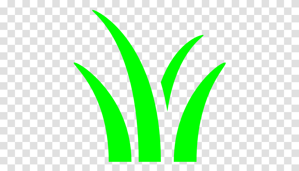 Grass Icon Image, Plant, Logo, Trademark Transparent Png