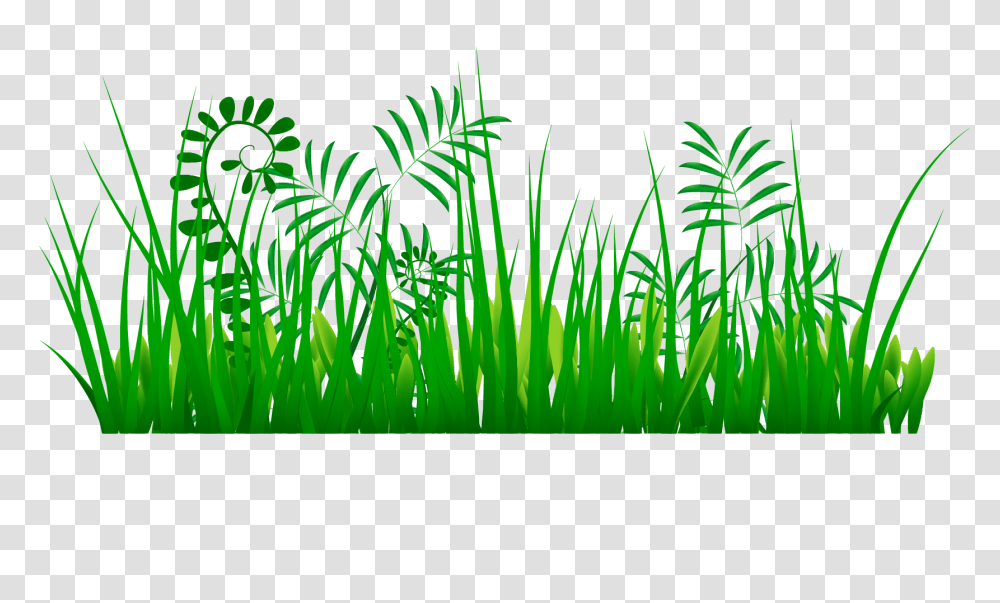Grass Images A Live Ornament Tool Only, Green, Plant, Vegetation, Leaf Transparent Png