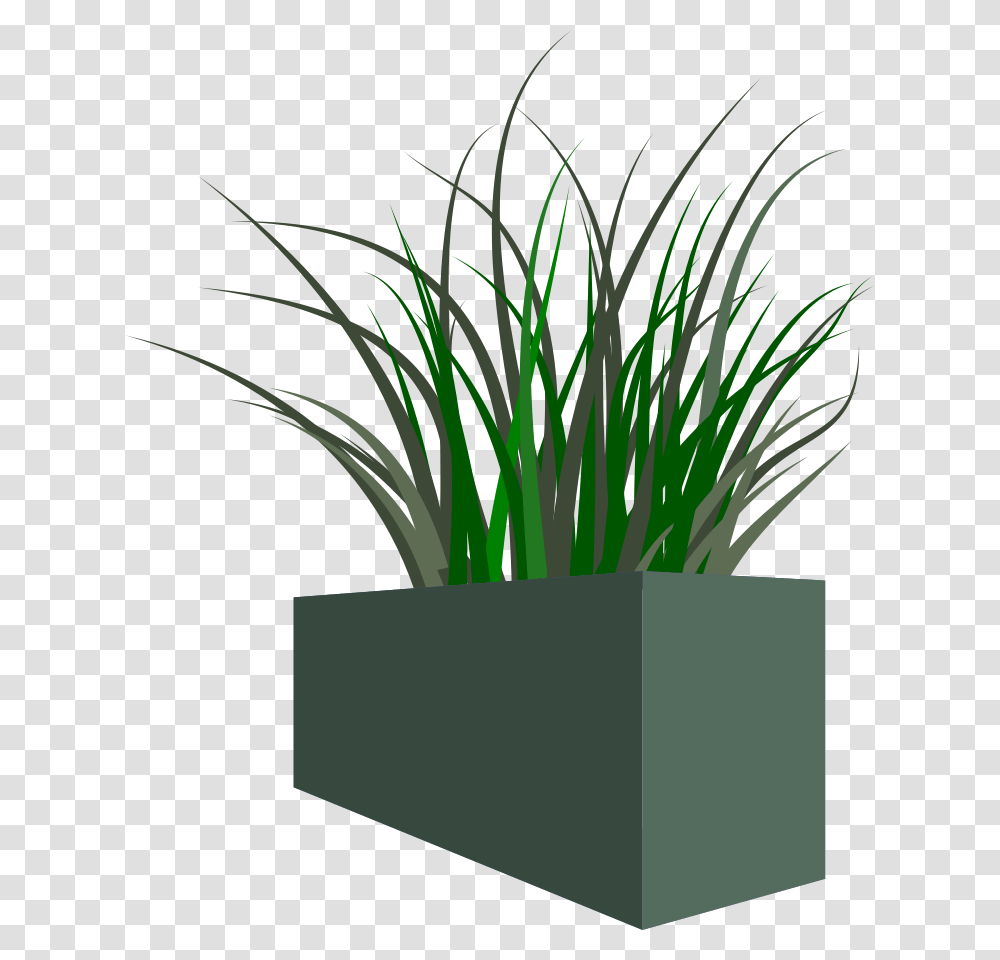 Grass In Square Planter Flower Box, Vase, Jar, Pottery, Potted Plant Transparent Png