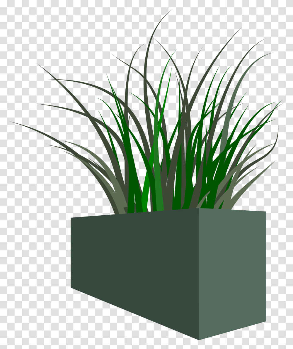 Grass In Square Planter Icons, Vase, Jar, Pottery, Flower Transparent Png