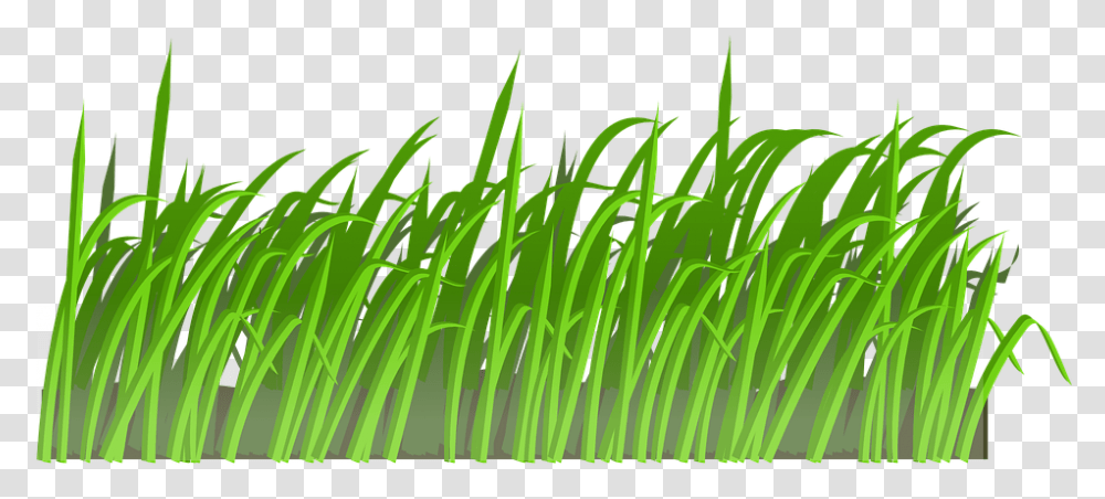 Grass Lawn Green Nature Spring Meadow Summer Cartoon Lawn, Plant Transparent Png