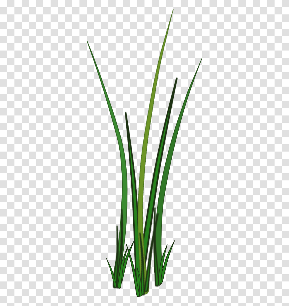 Grass Leaf Texture, Plant, Flower, Blossom, Petal Transparent Png