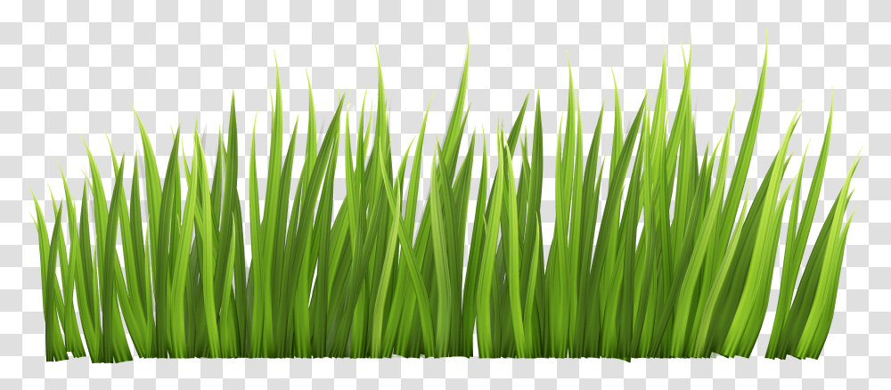 Grass Line Clipart Grass Clipart Transparent Png