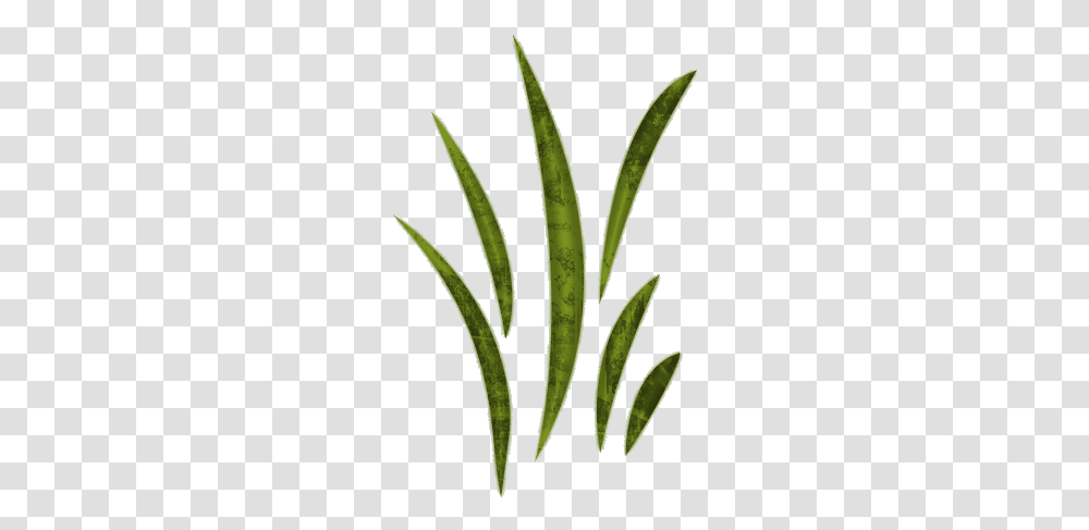 Grass Man Cutting Clip Art Clipart Stunning Free Blades Of Grass Clipart, Leaf, Plant, Tree, Conifer Transparent Png