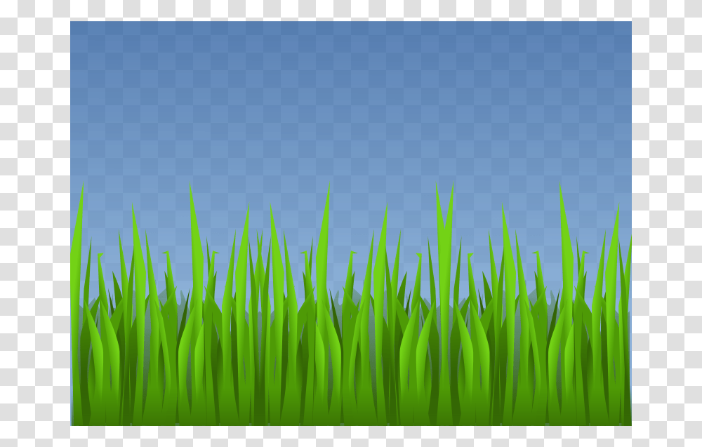 Grass, Nature, Green, Plant, Lawn Transparent Png