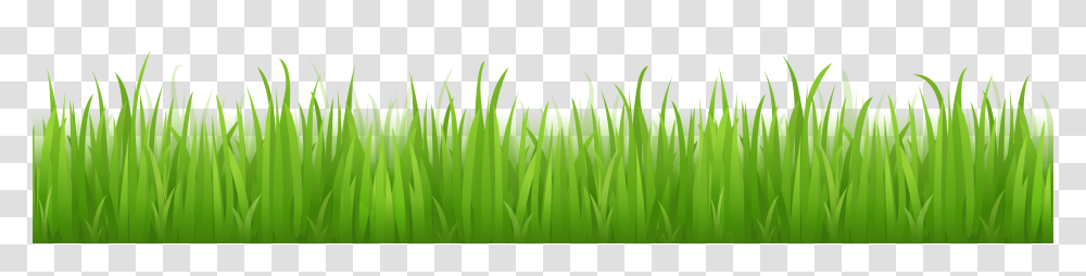 Grass, Nature, Plant, Green, Lawn Transparent Png